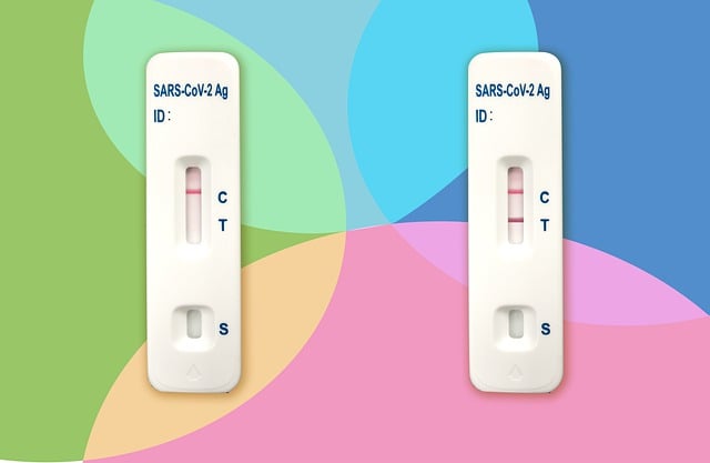 Ankara Egzoz Muayenesi Öncesi Mutlaka Yapılması Gerekenler