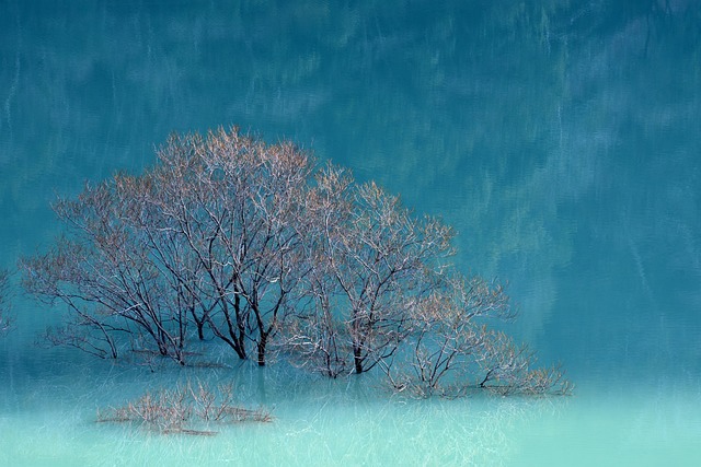 Rölanti Dalgalanması Sorununda Ankara’da En Etkili Teşhis 